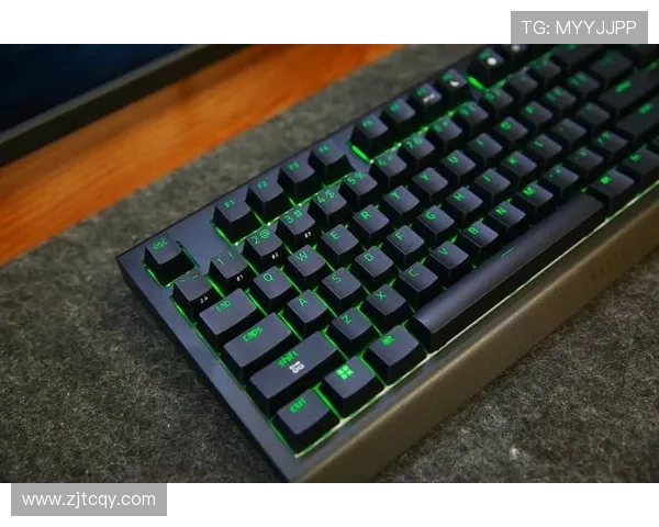 雷蛇游戏键盘光效消失解决方案及常见故障排查方法